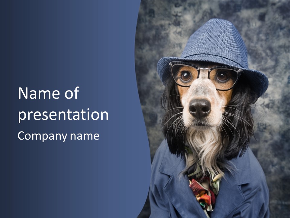 A Dog Wearing A Blue Hat And Glasses PowerPoint Template