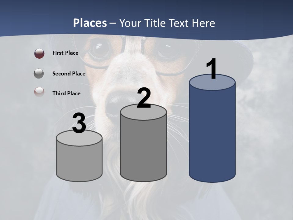 A Dog Wearing A Blue Hat And Glasses PowerPoint Template