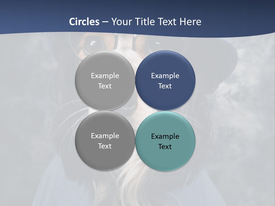 A Dog Wearing A Blue Hat And Glasses PowerPoint Template