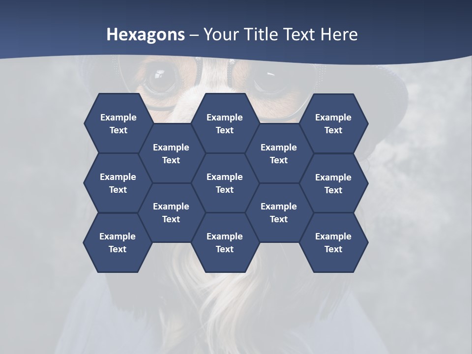 A Dog Wearing A Blue Hat And Glasses PowerPoint Template