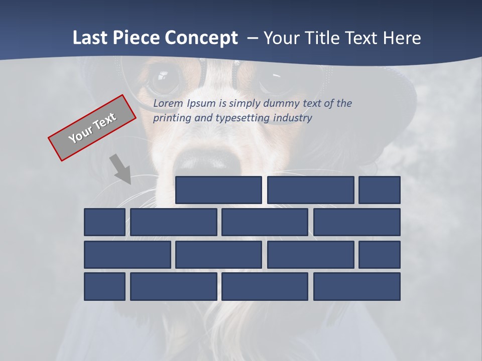 A Dog Wearing A Blue Hat And Glasses PowerPoint Template