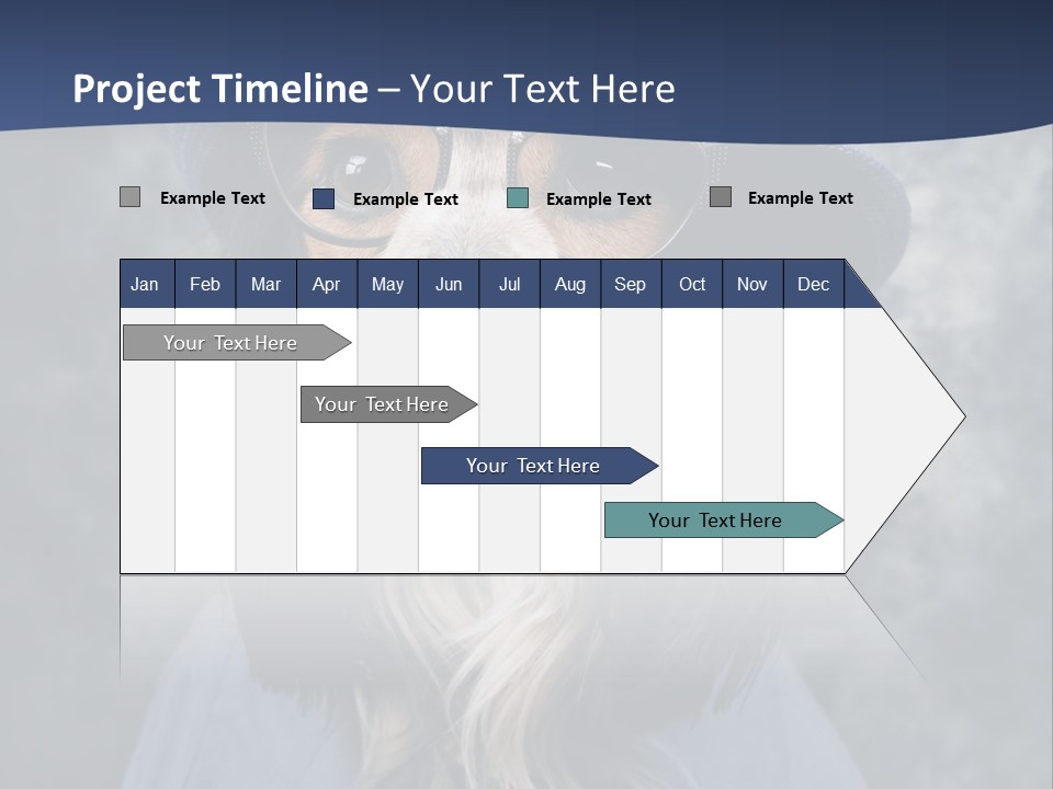 A Dog Wearing A Blue Hat And Glasses PowerPoint Template