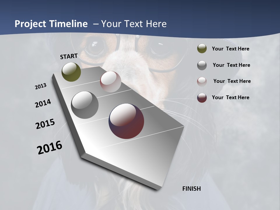 A Dog Wearing A Blue Hat And Glasses PowerPoint Template