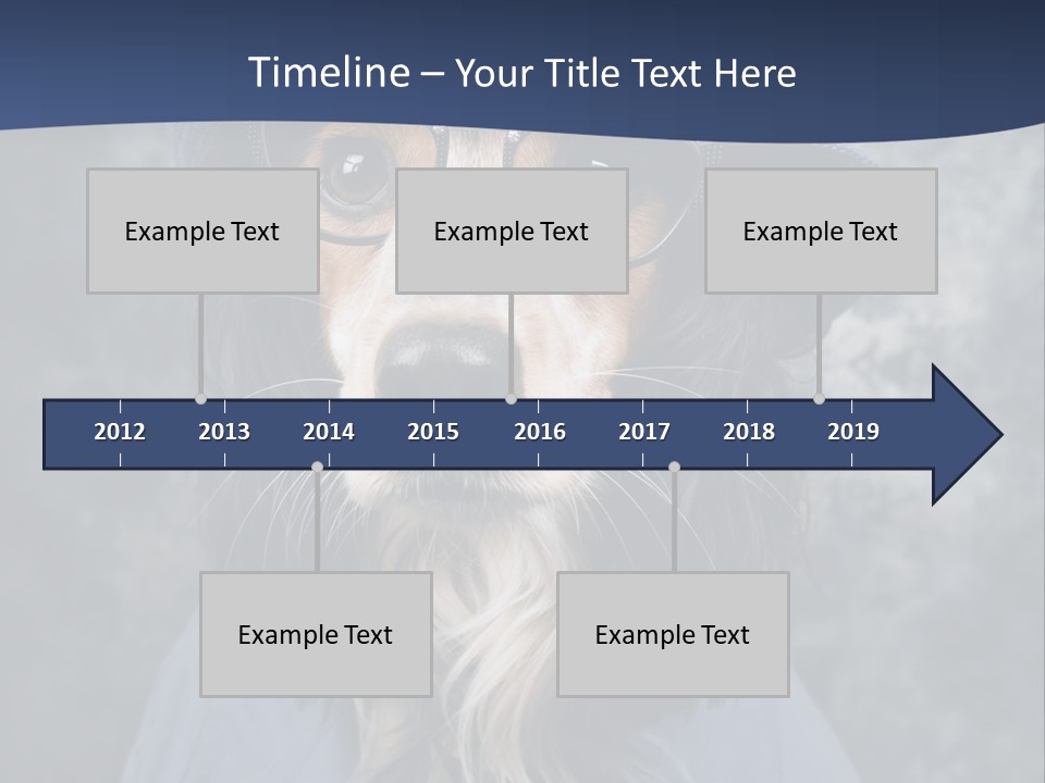 A Dog Wearing A Blue Hat And Glasses PowerPoint Template