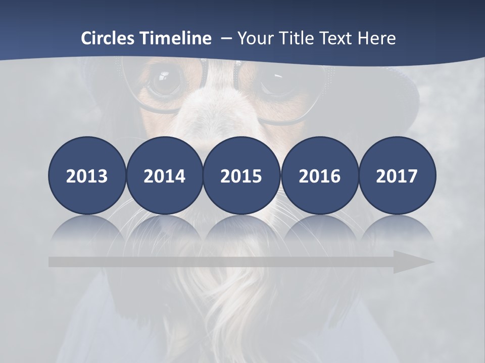 A Dog Wearing A Blue Hat And Glasses PowerPoint Template