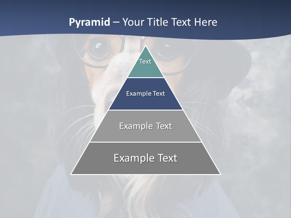 A Dog Wearing A Blue Hat And Glasses PowerPoint Template