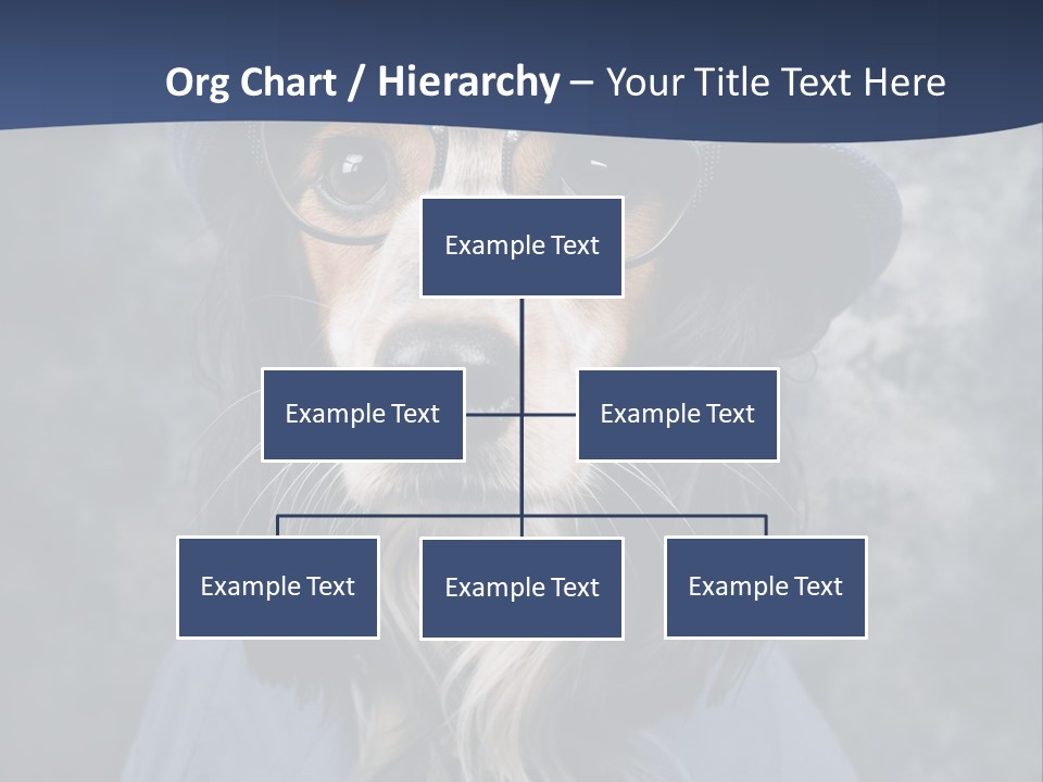 A Dog Wearing A Blue Hat And Glasses PowerPoint Template