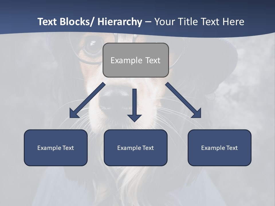 A Dog Wearing A Blue Hat And Glasses PowerPoint Template