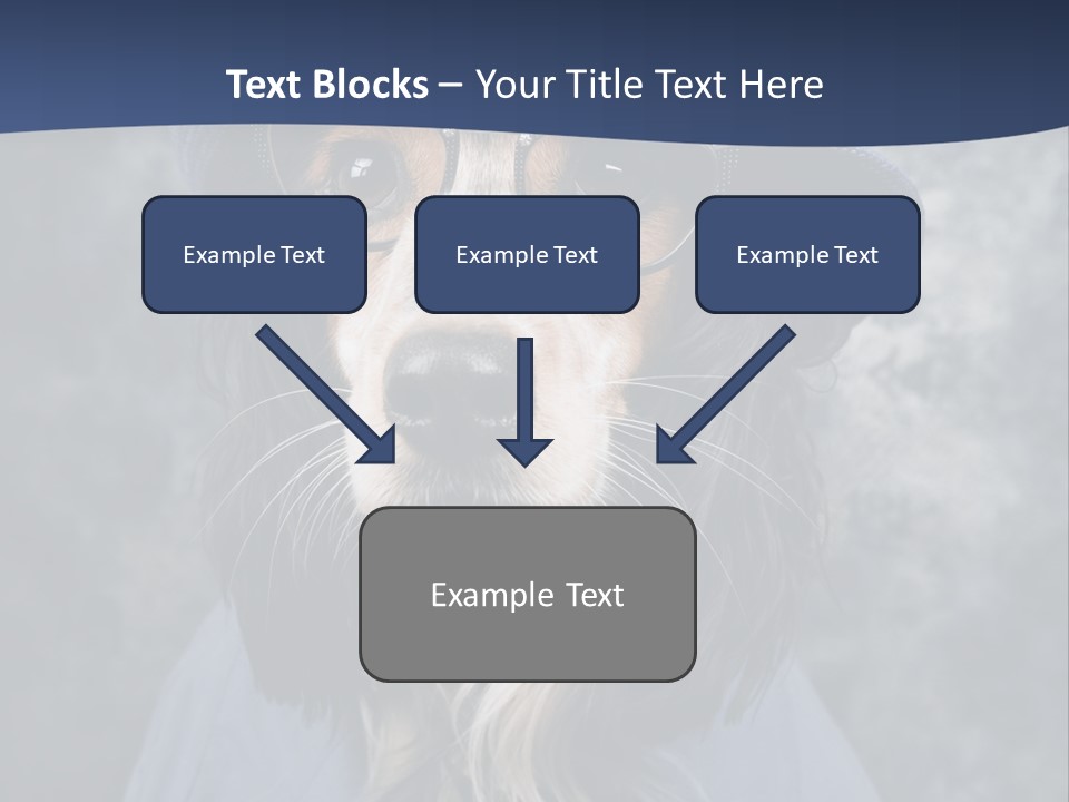 A Dog Wearing A Blue Hat And Glasses PowerPoint Template