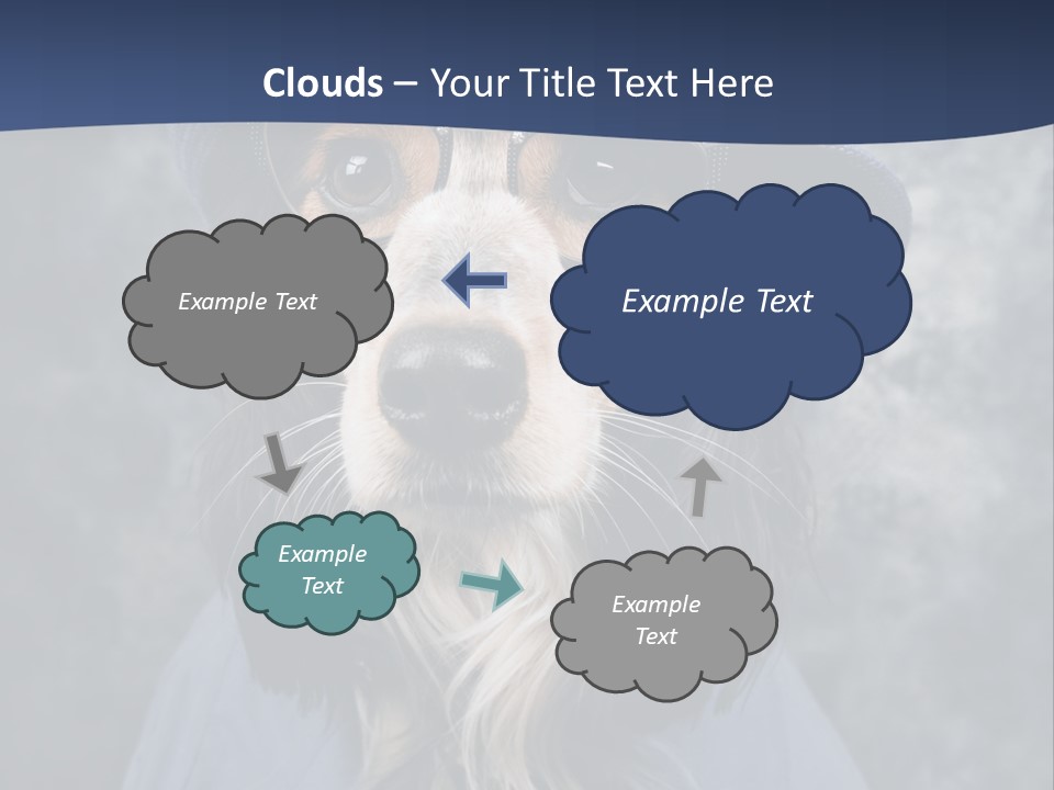 A Dog Wearing A Blue Hat And Glasses PowerPoint Template