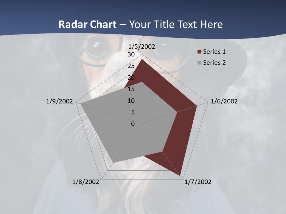 A Dog Wearing A Blue Hat And Glasses PowerPoint Template