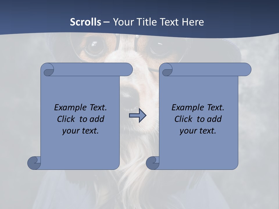 A Dog Wearing A Blue Hat And Glasses PowerPoint Template