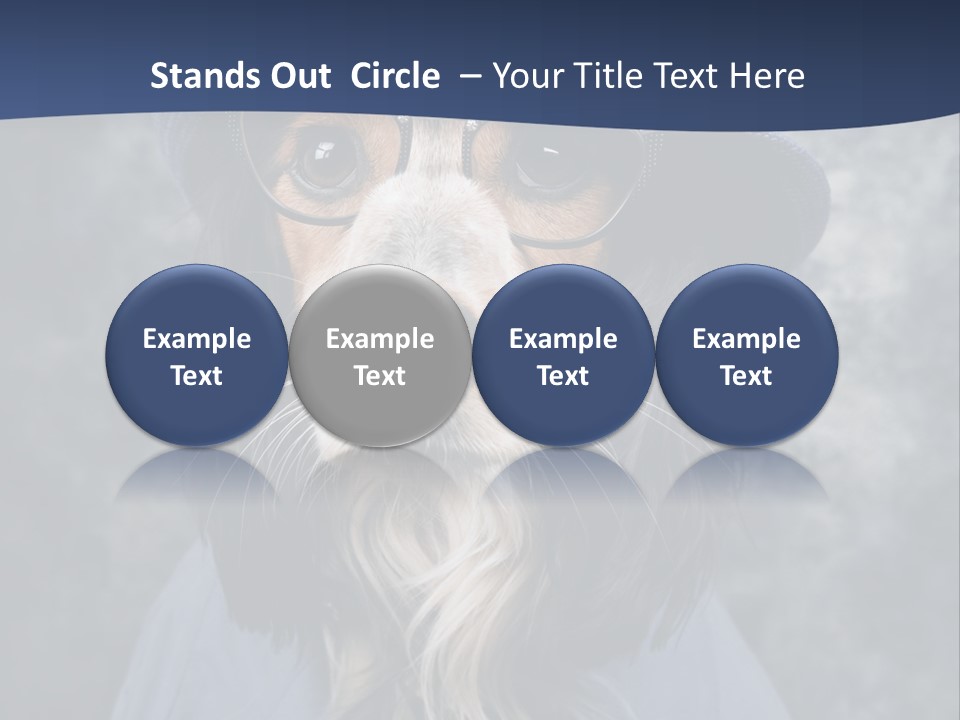 A Dog Wearing A Blue Hat And Glasses PowerPoint Template