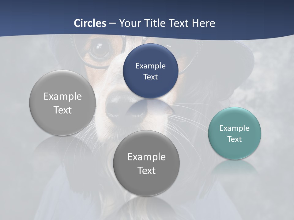 A Dog Wearing A Blue Hat And Glasses PowerPoint Template