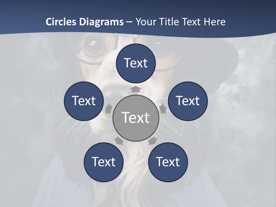 A Dog Wearing A Blue Hat And Glasses PowerPoint Template