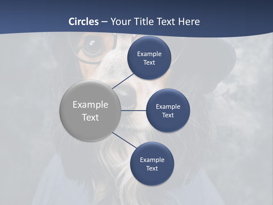 A Dog Wearing A Blue Hat And Glasses PowerPoint Template