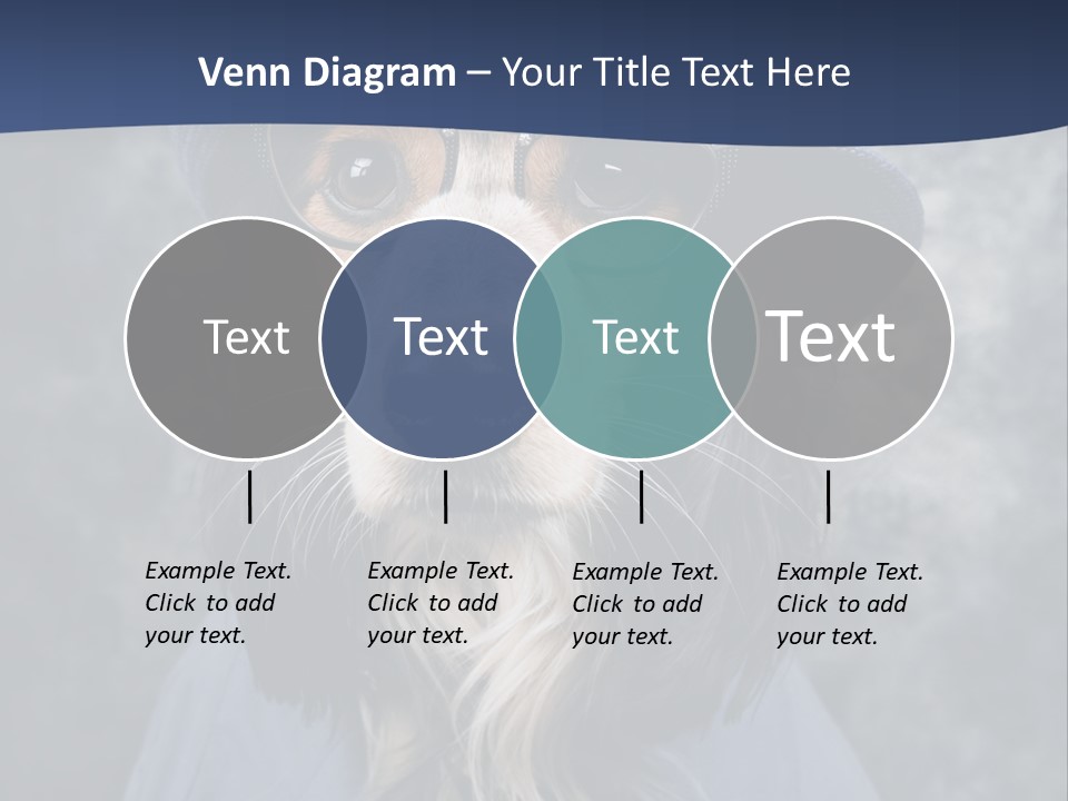 A Dog Wearing A Blue Hat And Glasses PowerPoint Template