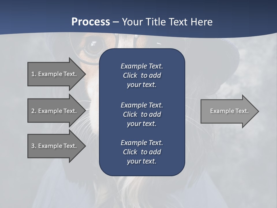 A Dog Wearing A Blue Hat And Glasses PowerPoint Template