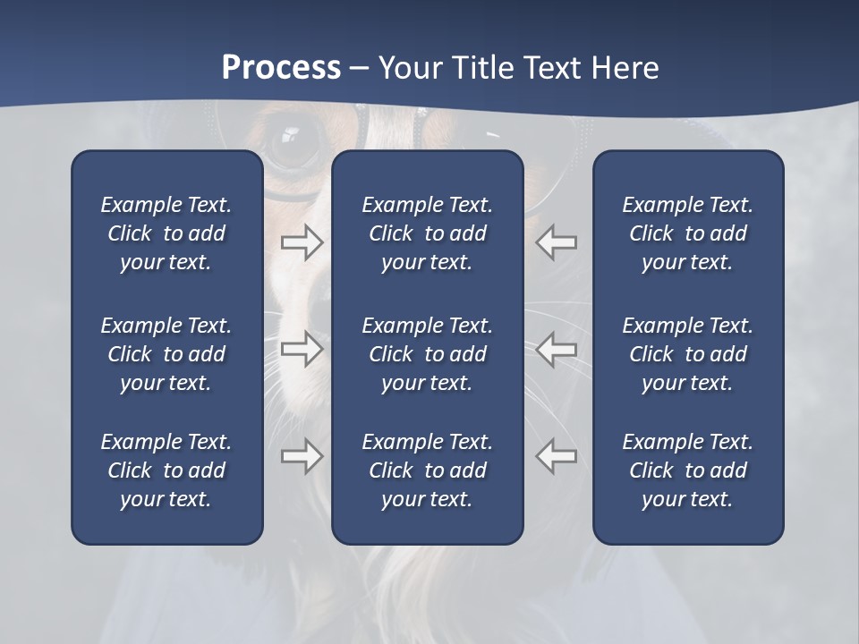 A Dog Wearing A Blue Hat And Glasses PowerPoint Template