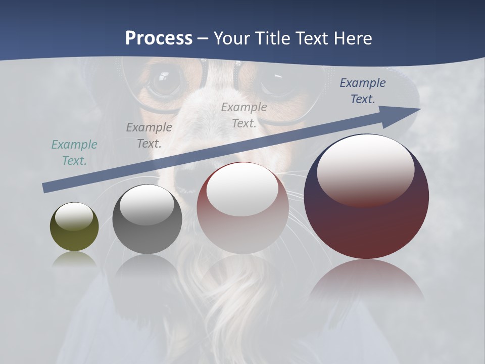 A Dog Wearing A Blue Hat And Glasses PowerPoint Template