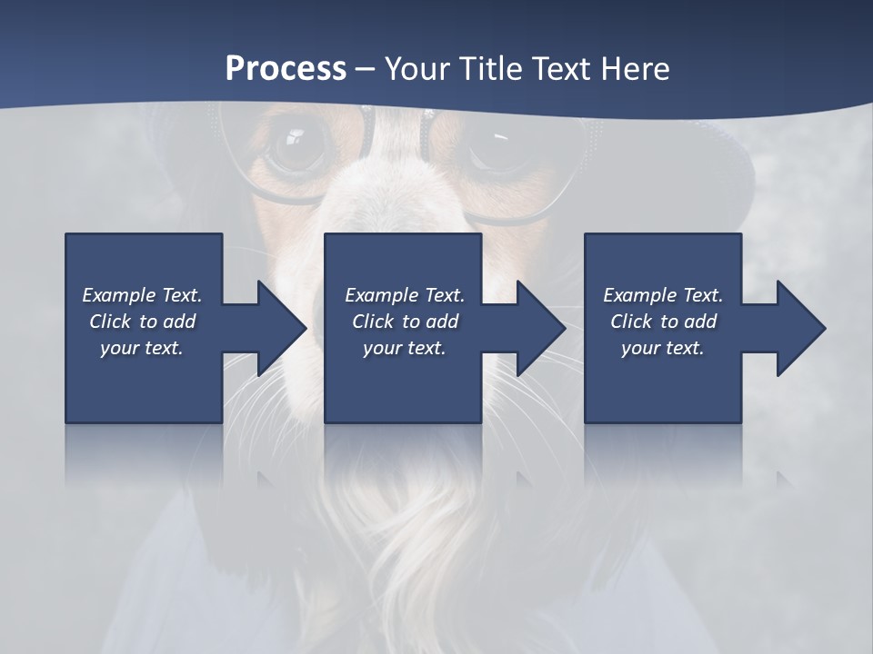 A Dog Wearing A Blue Hat And Glasses PowerPoint Template