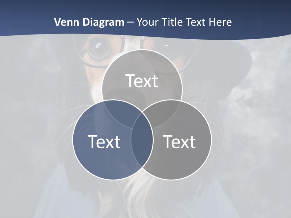 A Dog Wearing A Blue Hat And Glasses PowerPoint Template