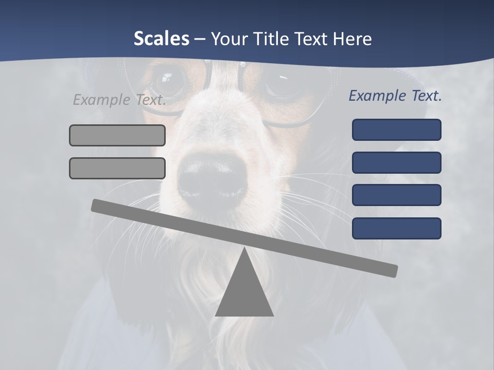 A Dog Wearing A Blue Hat And Glasses PowerPoint Template