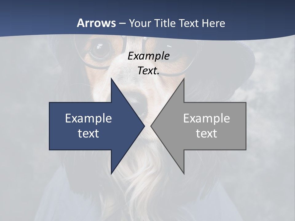 A Dog Wearing A Blue Hat And Glasses PowerPoint Template