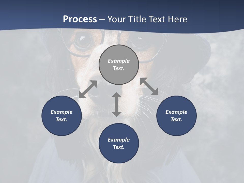 A Dog Wearing A Blue Hat And Glasses PowerPoint Template