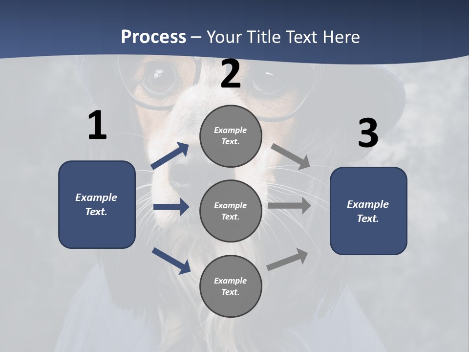 A Dog Wearing A Blue Hat And Glasses PowerPoint Template