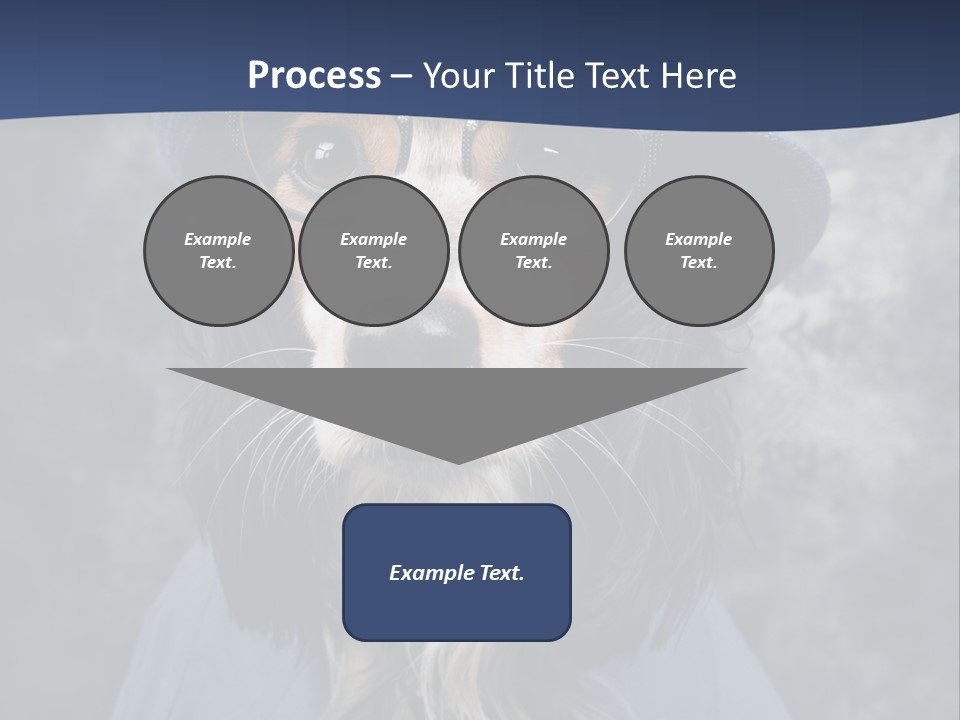 A Dog Wearing A Blue Hat And Glasses PowerPoint Template