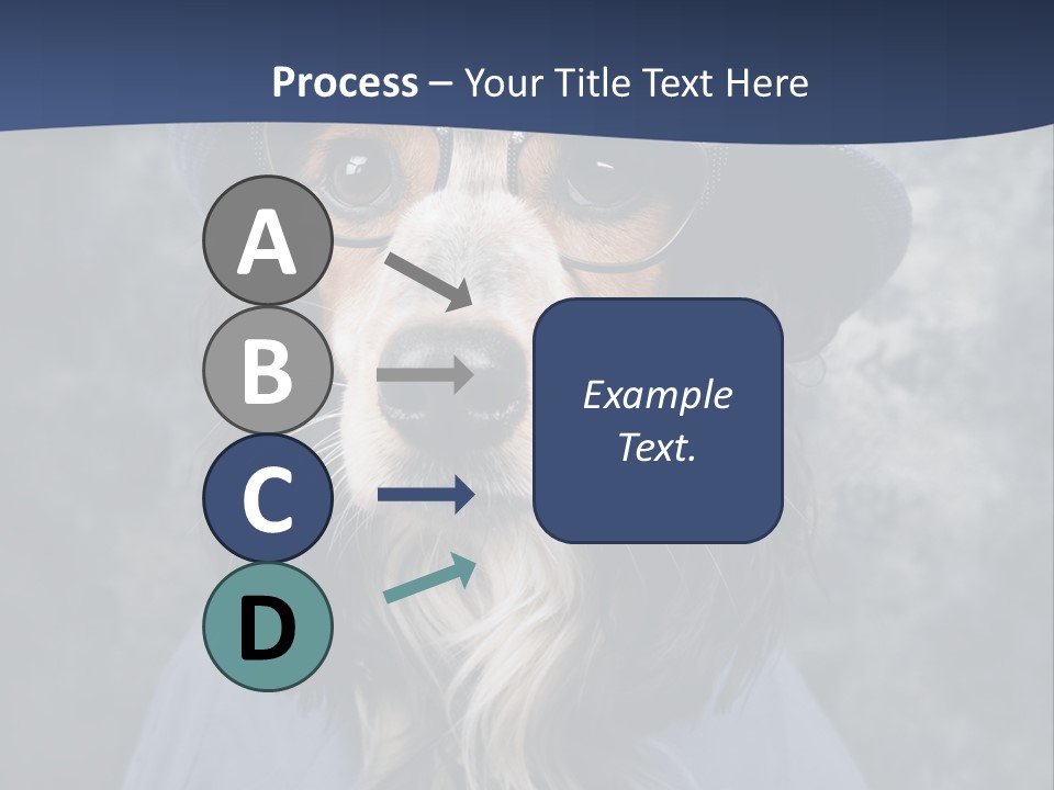 A Dog Wearing A Blue Hat And Glasses PowerPoint Template