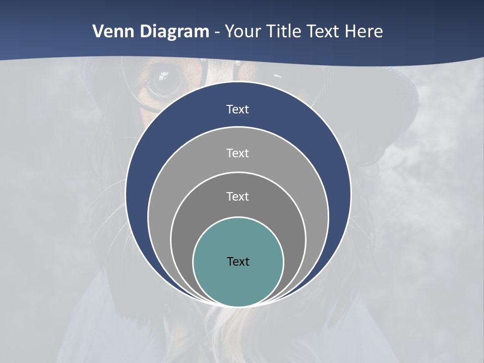 A Dog Wearing A Blue Hat And Glasses PowerPoint Template