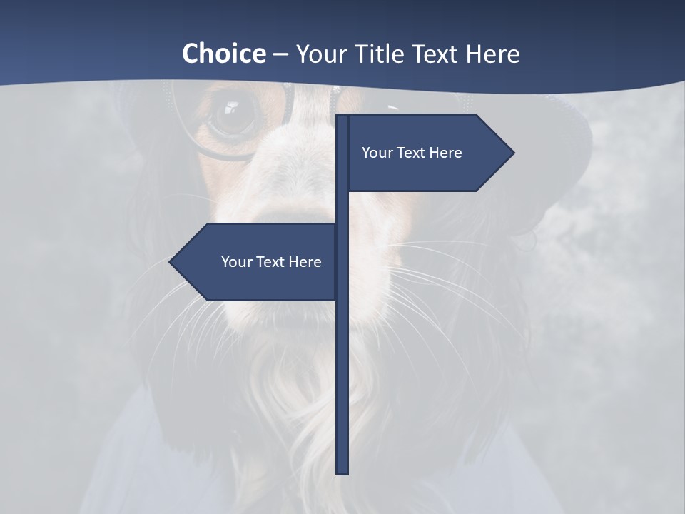 A Dog Wearing A Blue Hat And Glasses PowerPoint Template