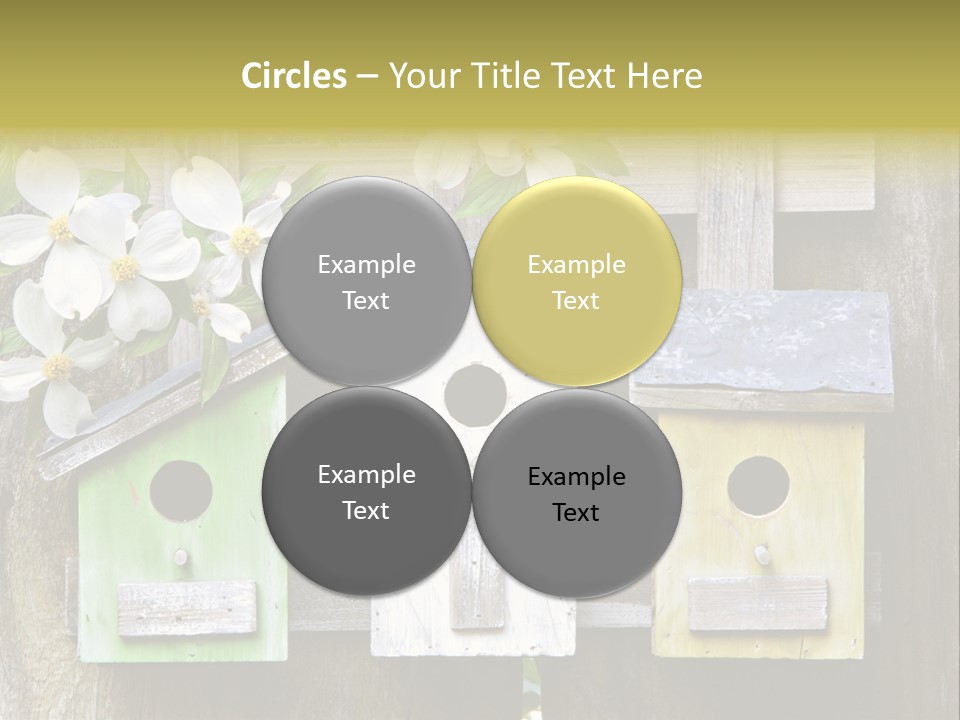 Habitat Rustic Container PowerPoint Template