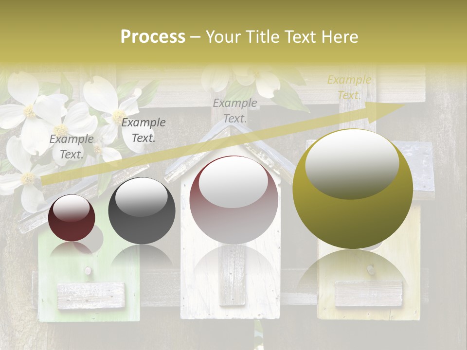Habitat Rustic Container PowerPoint Template