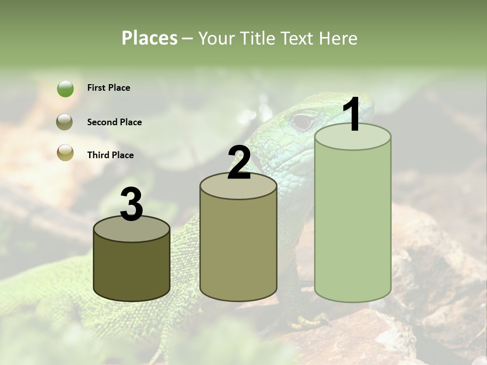 Juvenile Curlytail Green PowerPoint Template