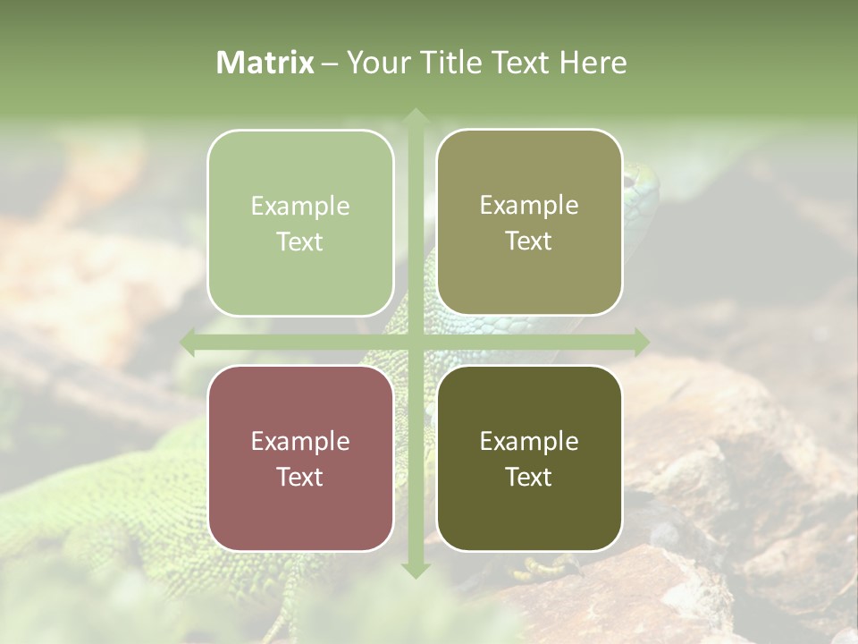 Juvenile Curlytail Green PowerPoint Template