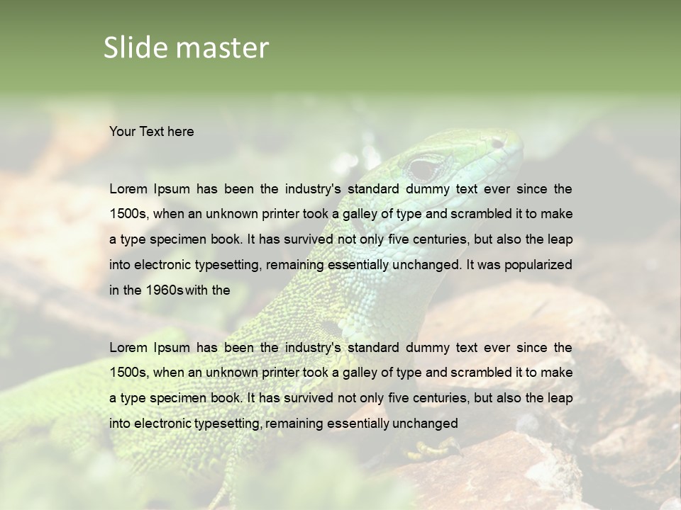 Juvenile Curlytail Green PowerPoint Template