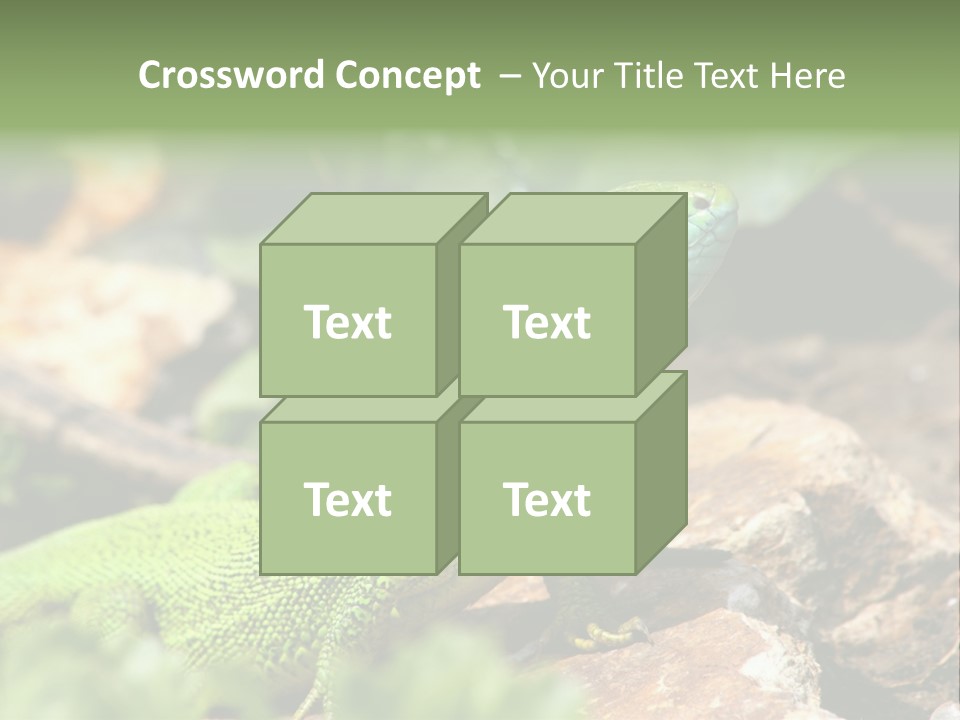 Juvenile Curlytail Green PowerPoint Template