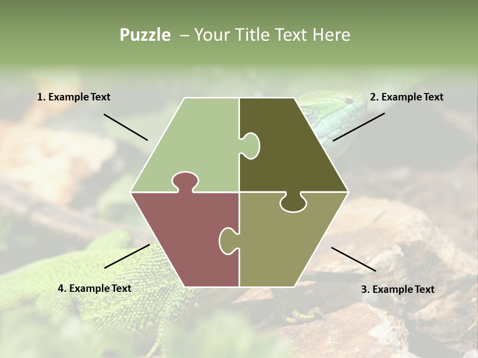 Juvenile Curlytail Green PowerPoint Template