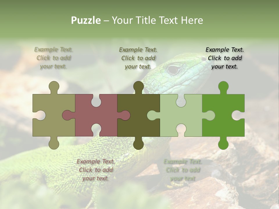 Juvenile Curlytail Green PowerPoint Template