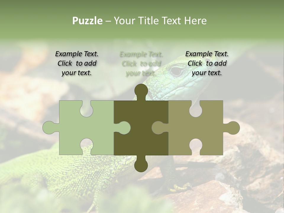 Juvenile Curlytail Green PowerPoint Template