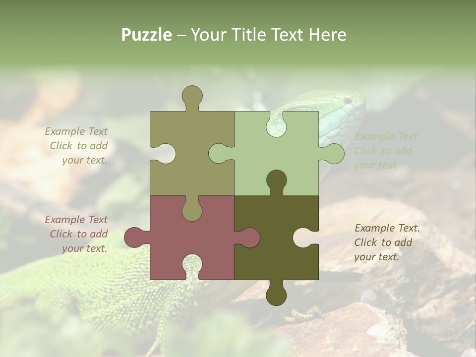 Juvenile Curlytail Green PowerPoint Template