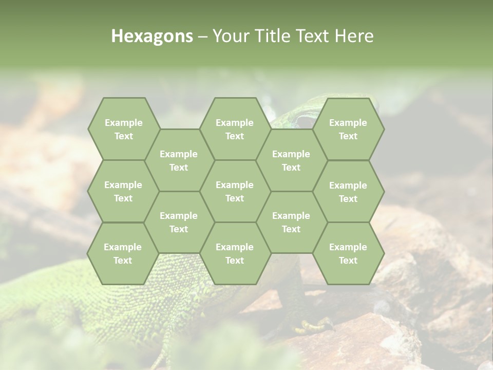 Juvenile Curlytail Green PowerPoint Template