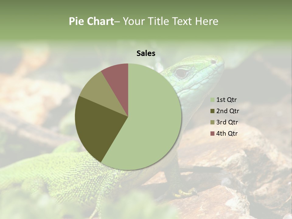 Juvenile Curlytail Green PowerPoint Template