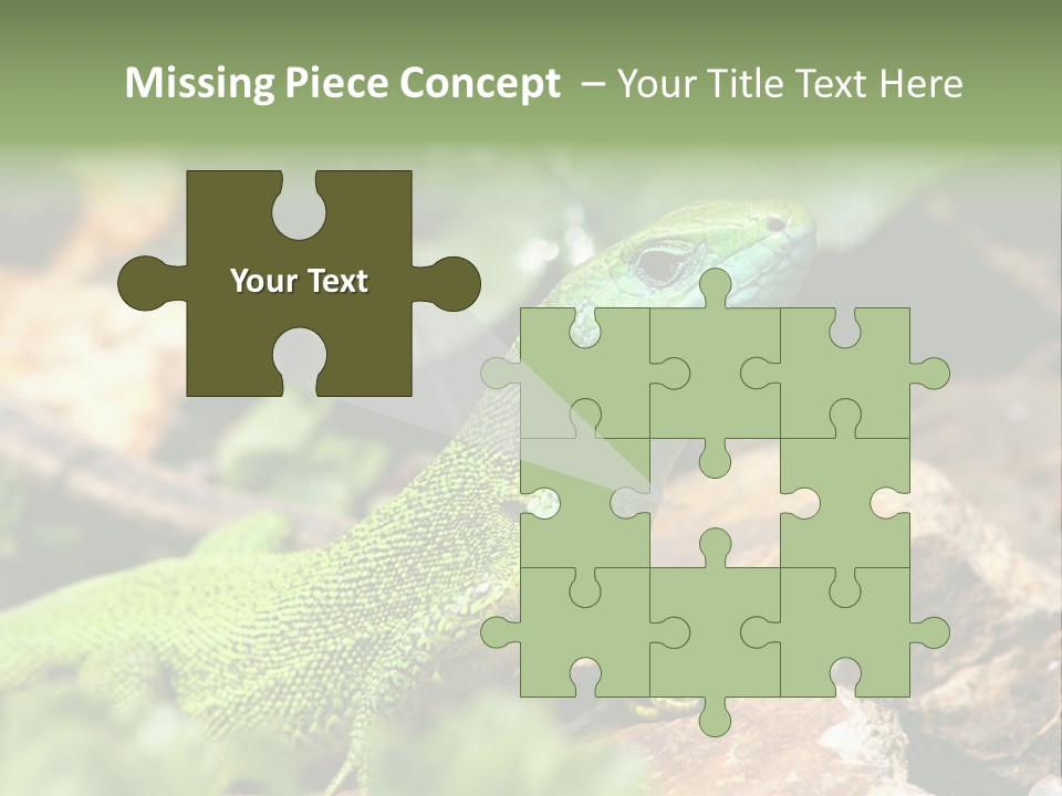Juvenile Curlytail Green PowerPoint Template