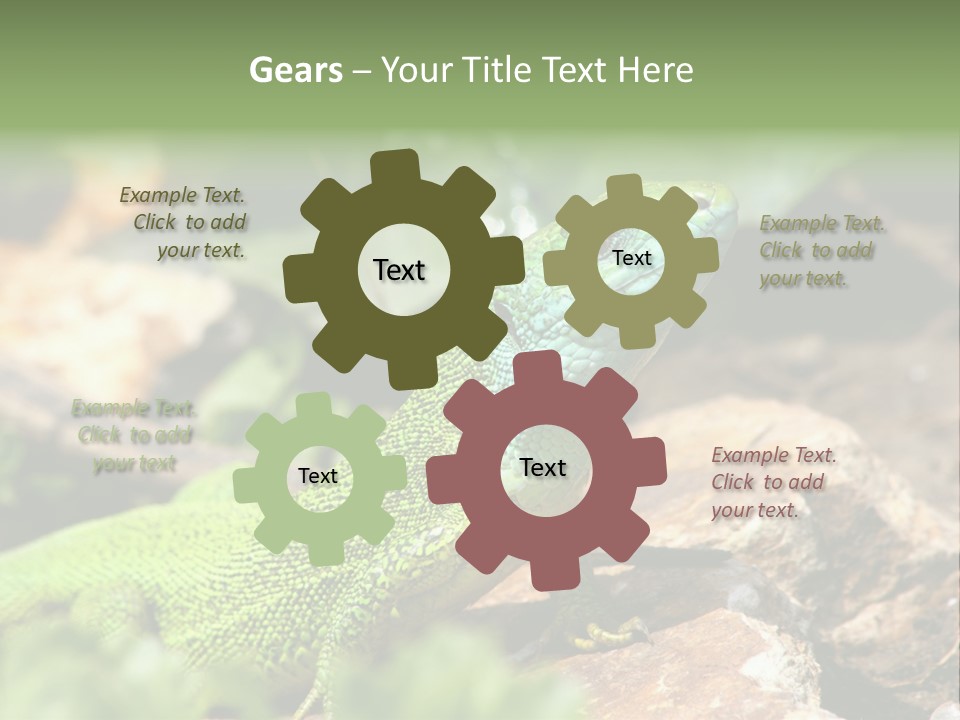 Juvenile Curlytail Green PowerPoint Template