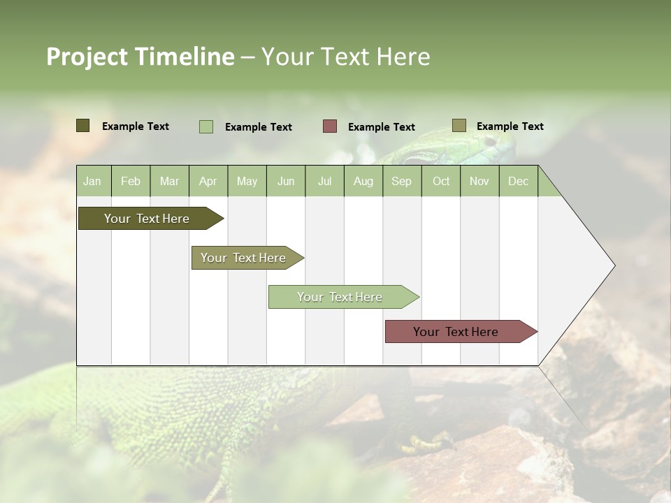 Juvenile Curlytail Green PowerPoint Template