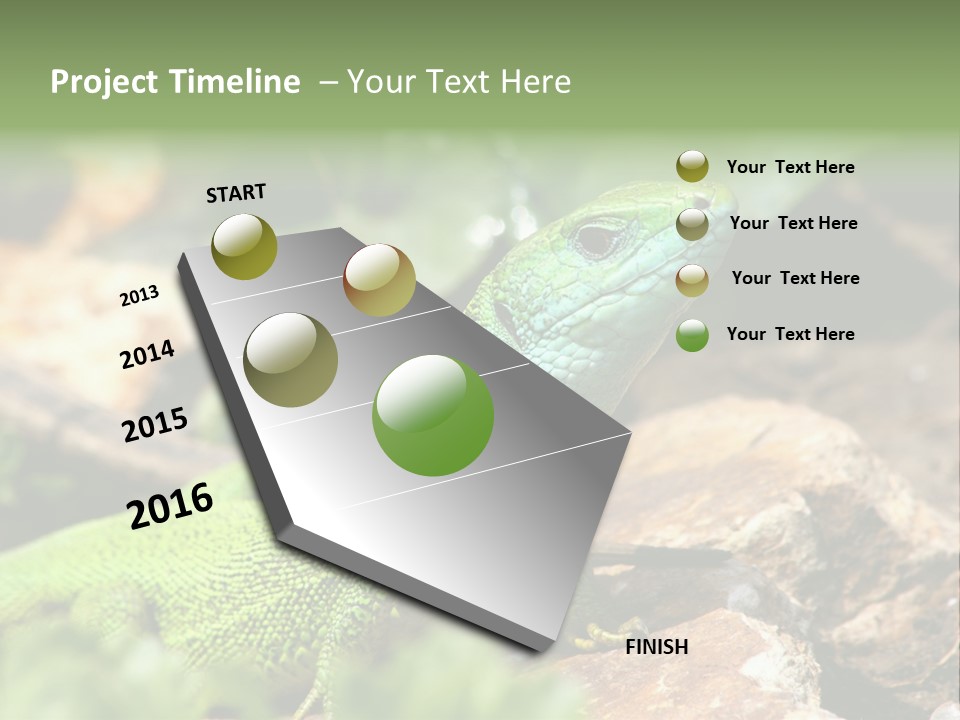 Juvenile Curlytail Green PowerPoint Template